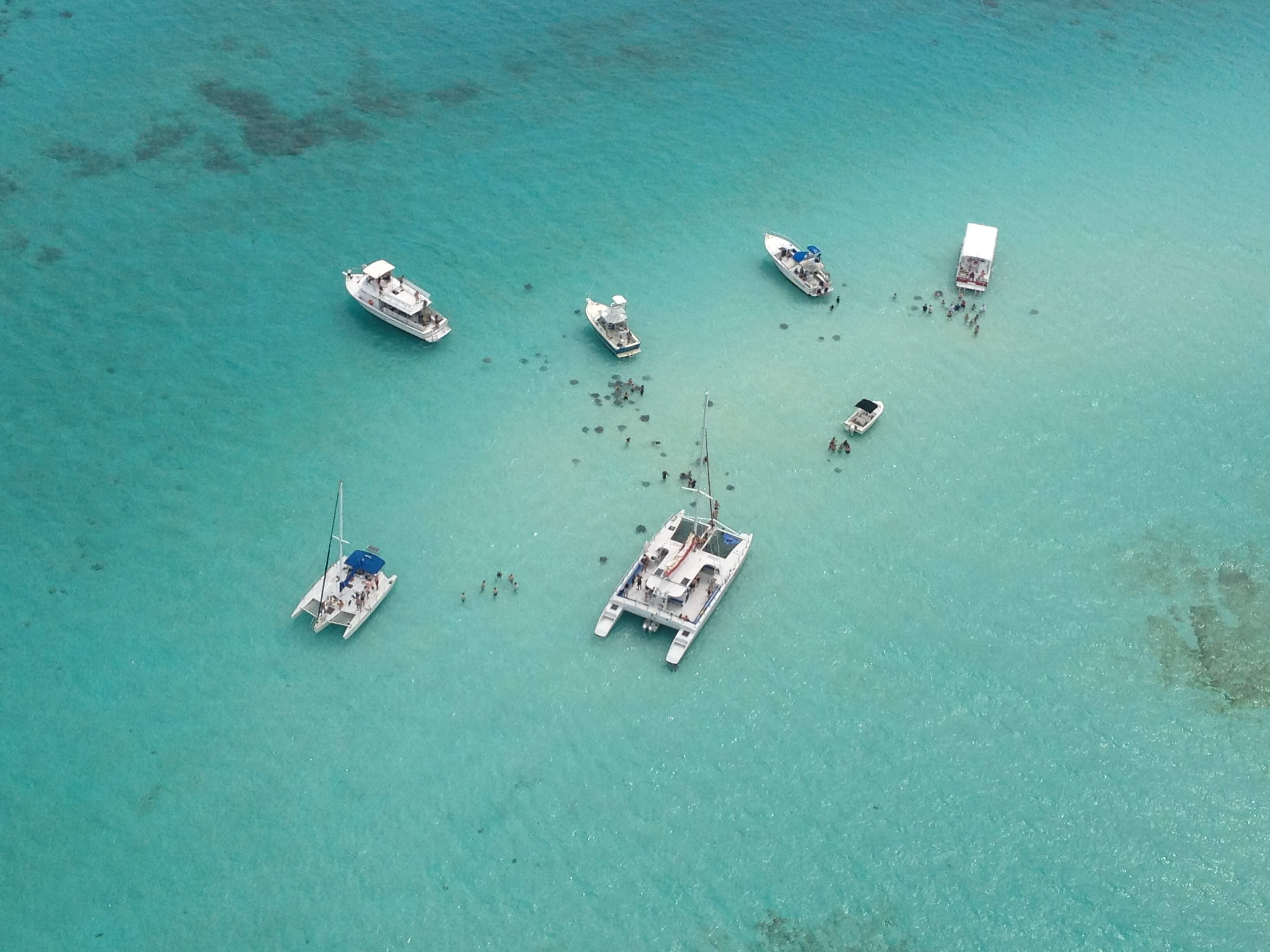 Stingray Alley Grand Cayman