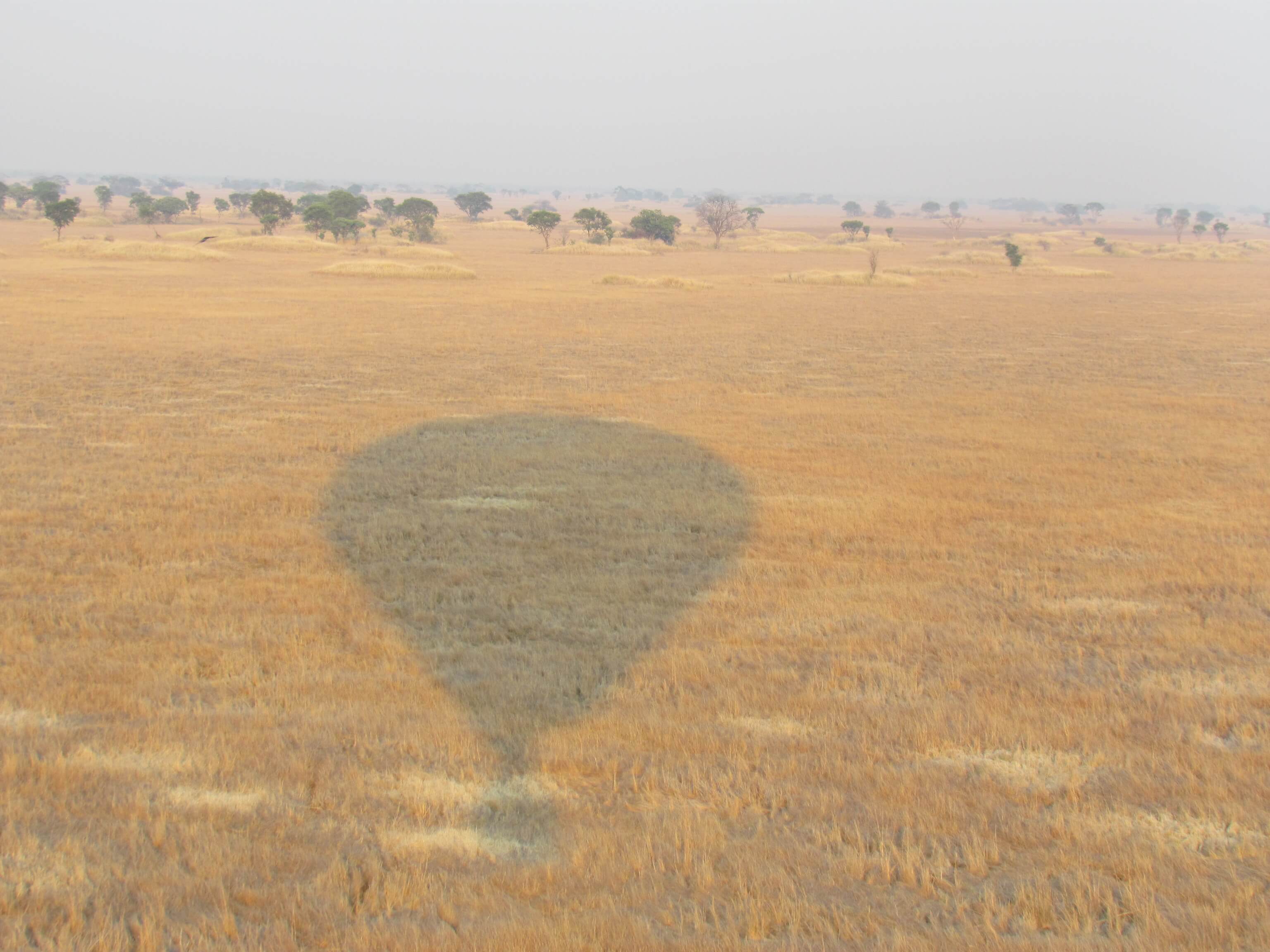 Hot Air Ballooning over the Busanga plains, Kafuwe NP