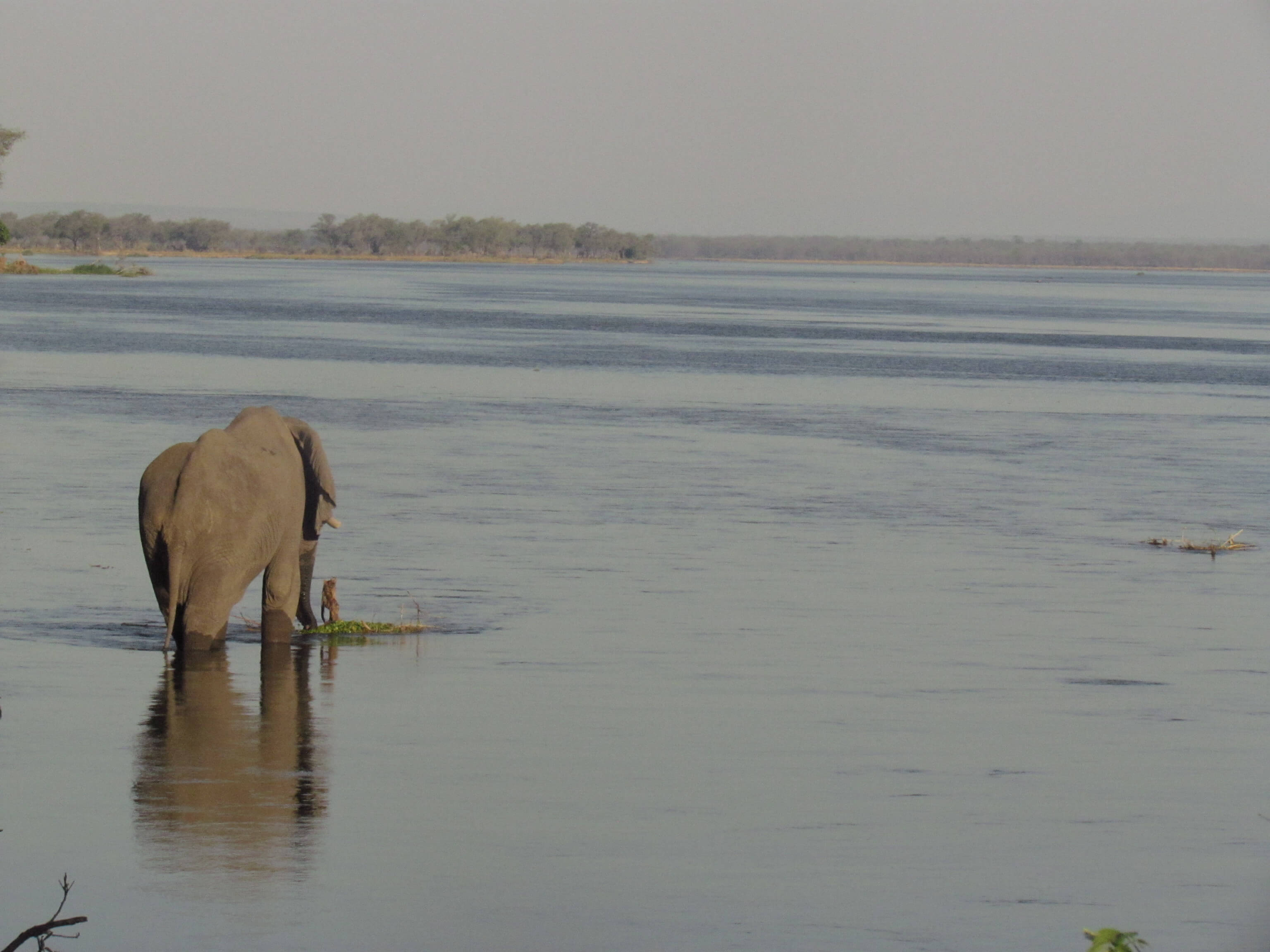 Lower Zambezi