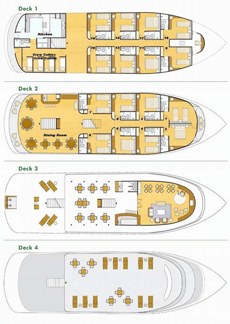 Amazon Clipper Premium, Brazil Ultimate Travel Co