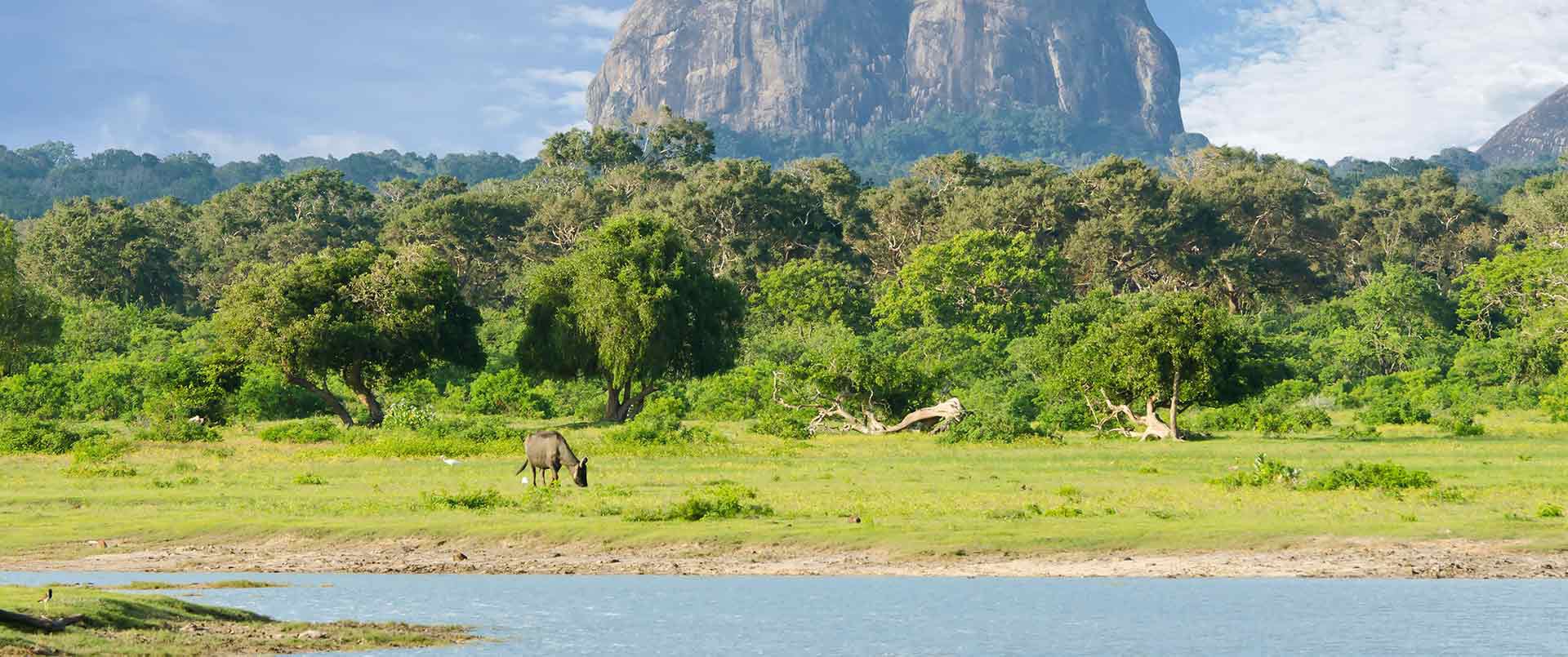national parks sri lanka