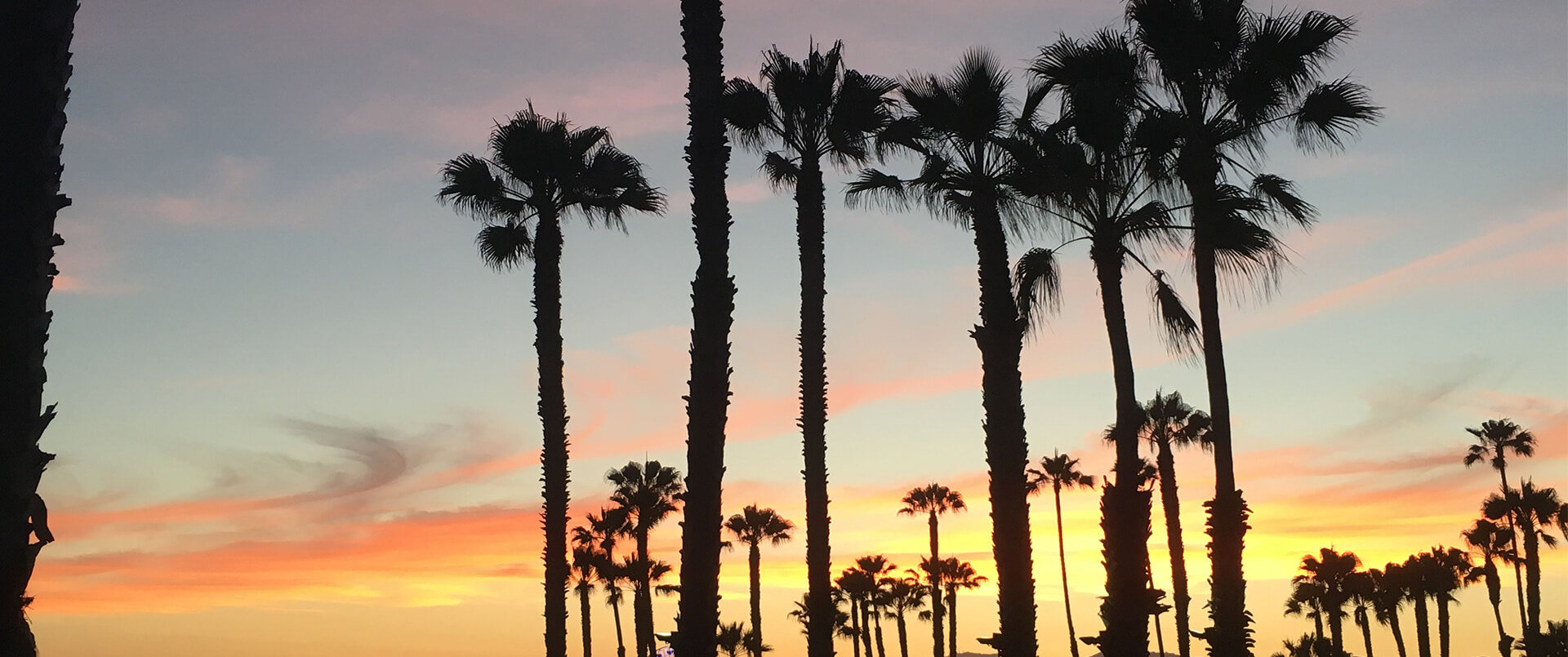 self drive route 101