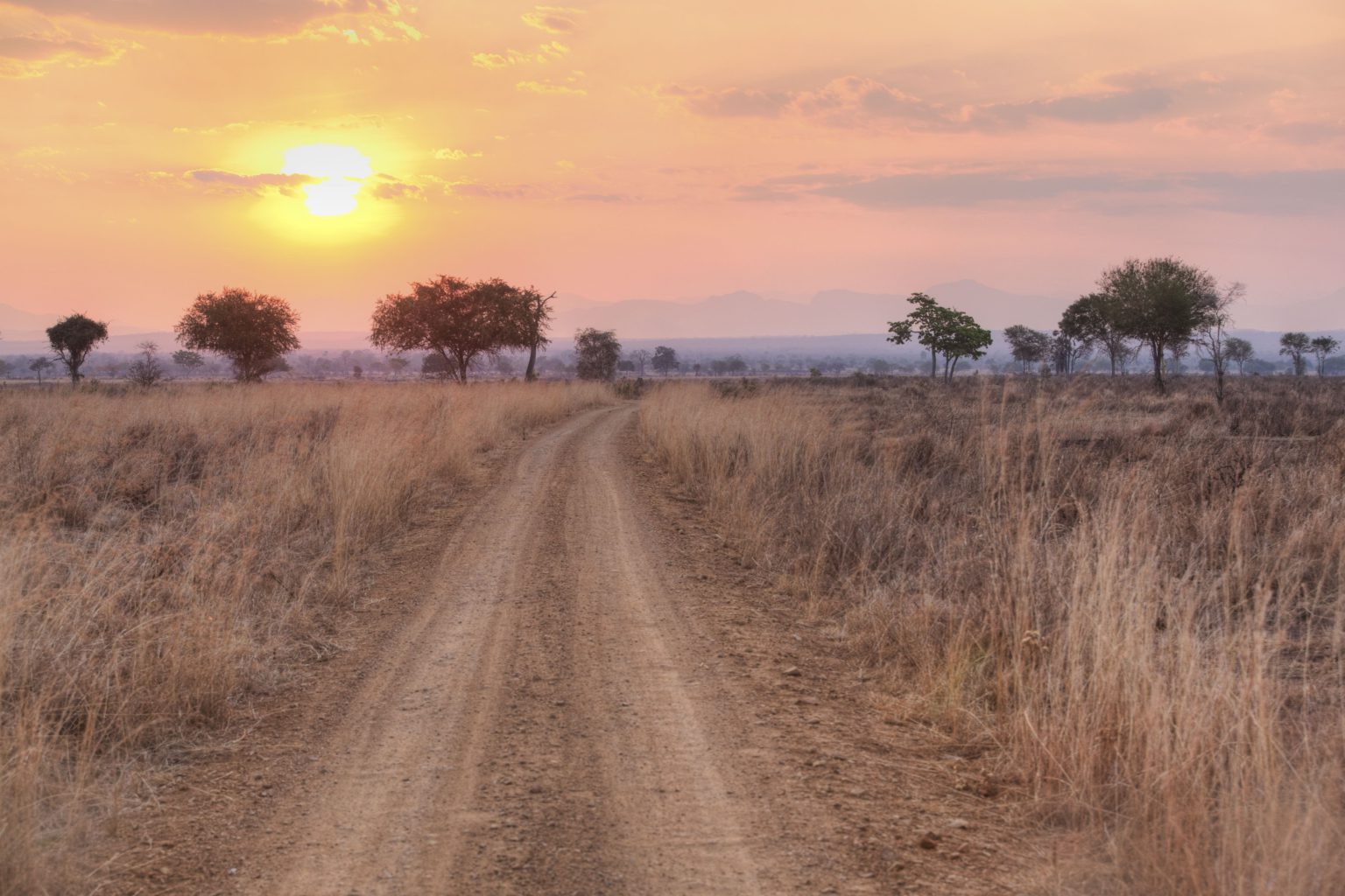 Discover something remarkable off the beaten path