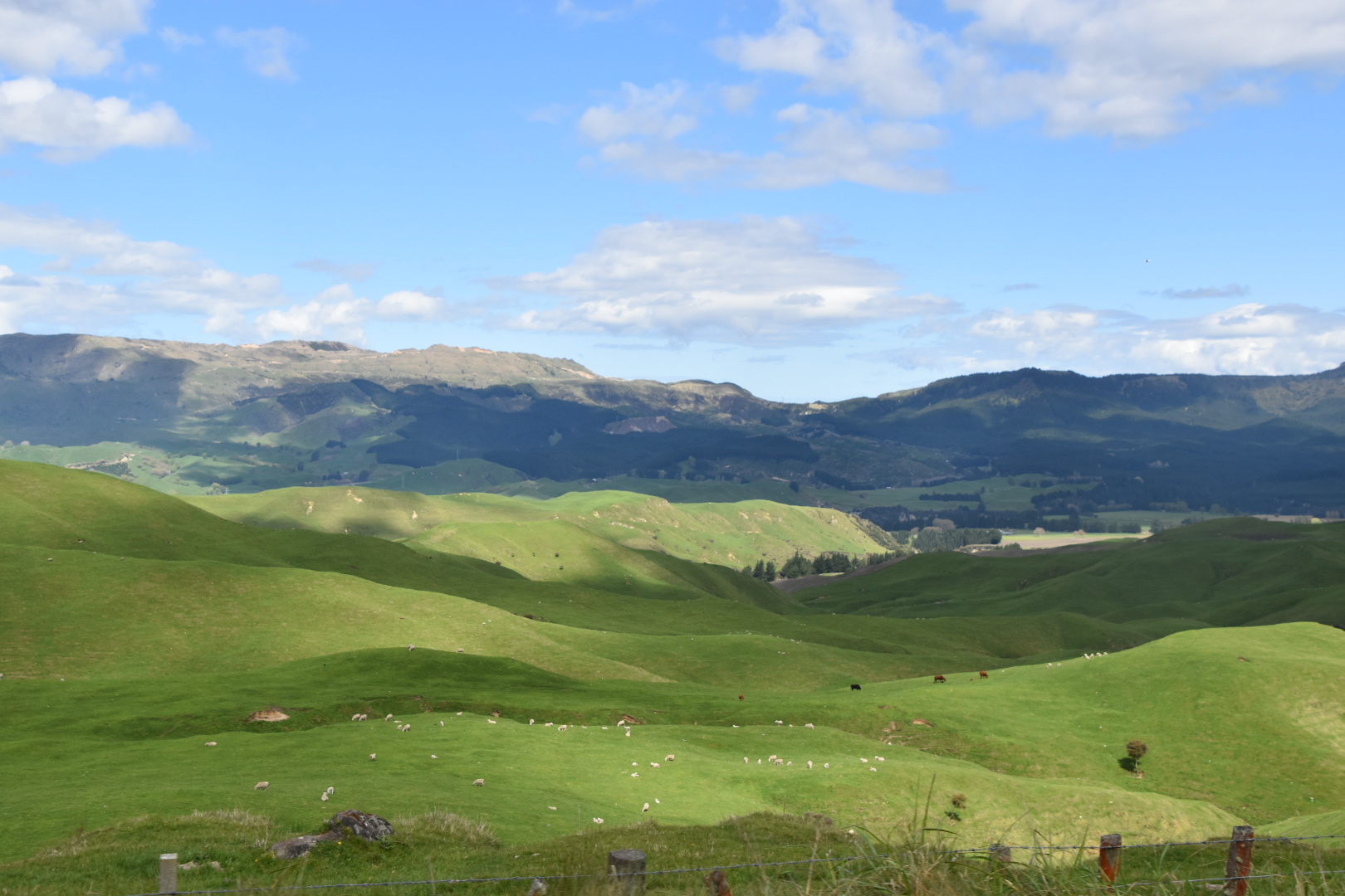 self drive adventure in new zealand