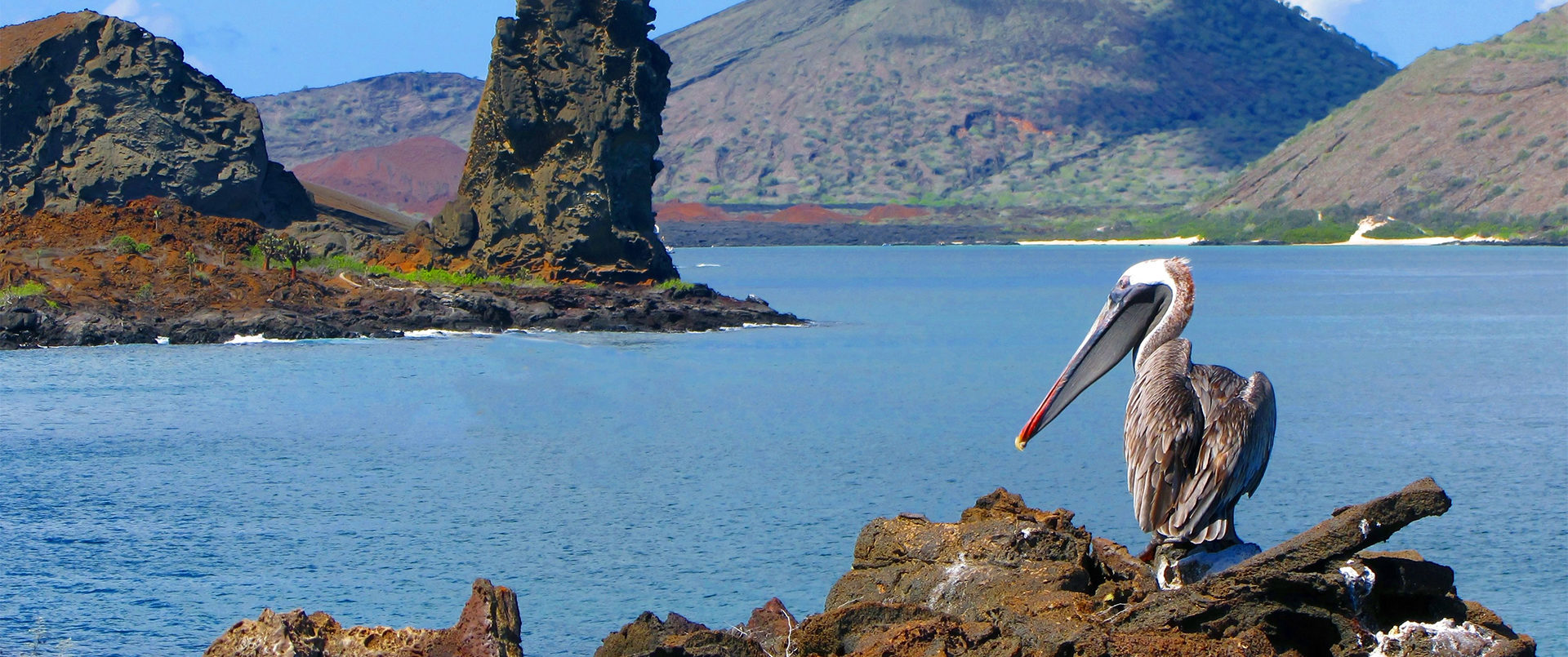 planning a trip to the galapagos islands