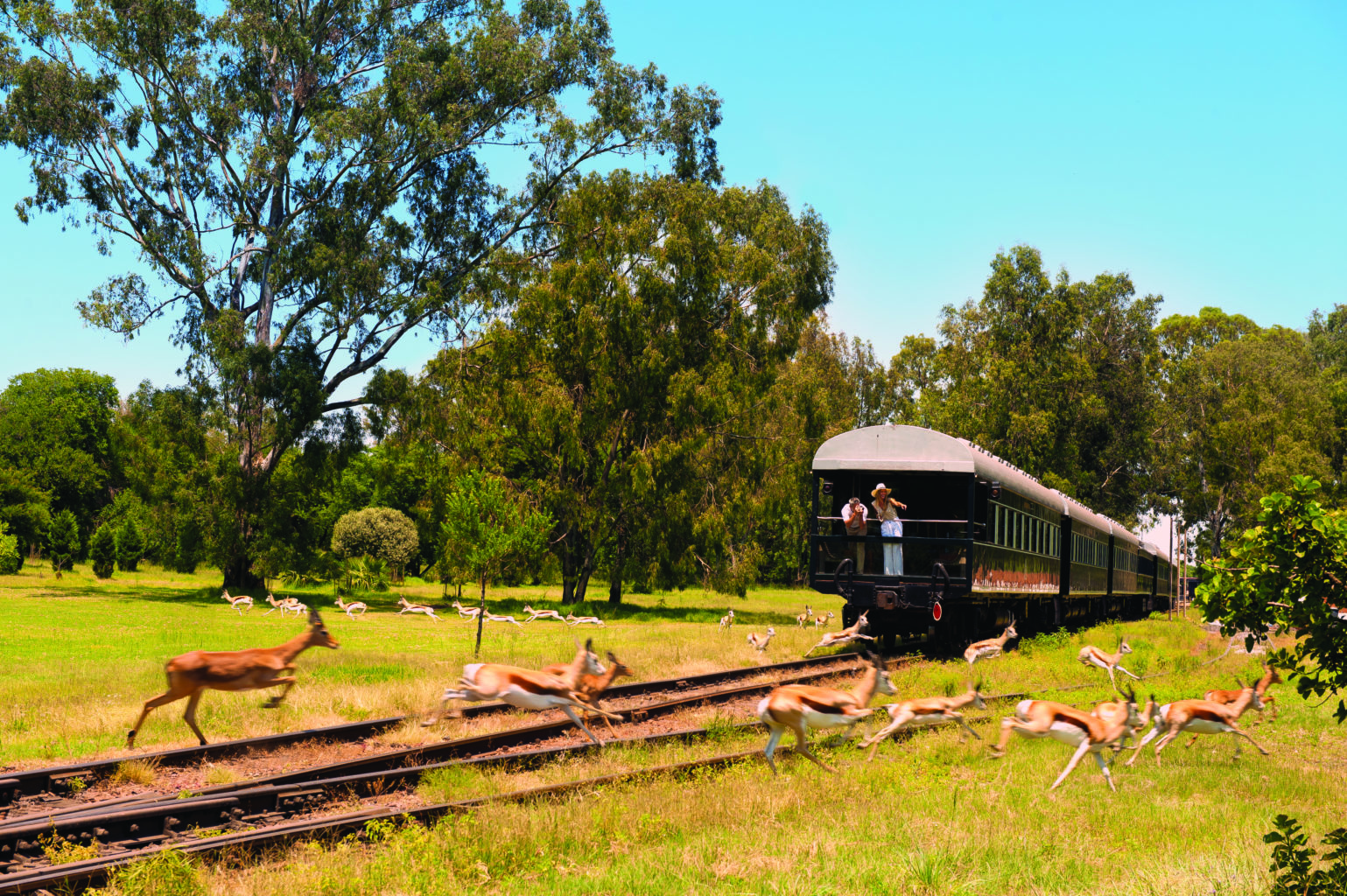 Our Best Selling Railway Journeys