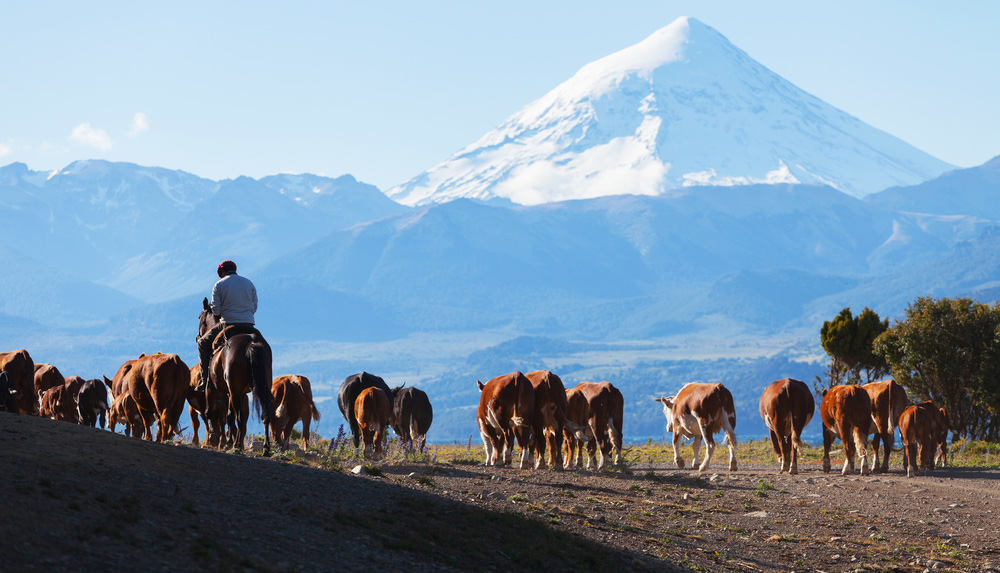The Wild West of Argentina Looking Over the Snow Covered Mountains | Argentina Holidays | The Ultimate Travel Company