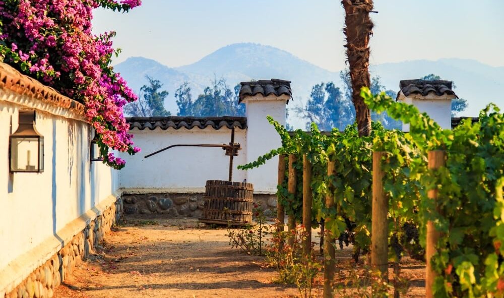 Chilean Winelands | Chile | The Ultimate Travel Company
