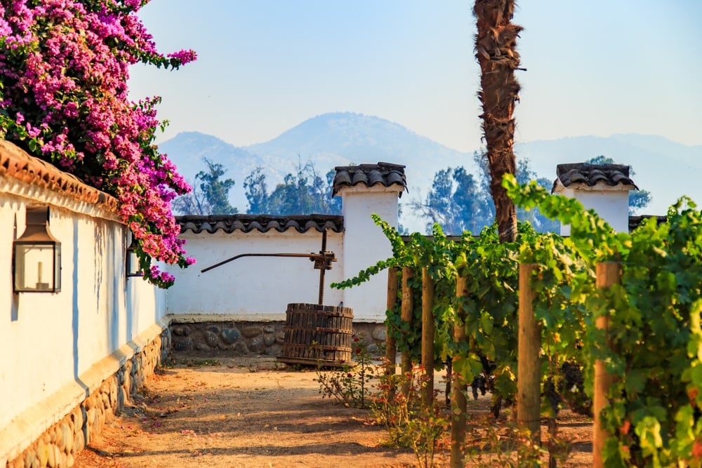 Chilean Winelands | Chile | The Ultimate Travel Company