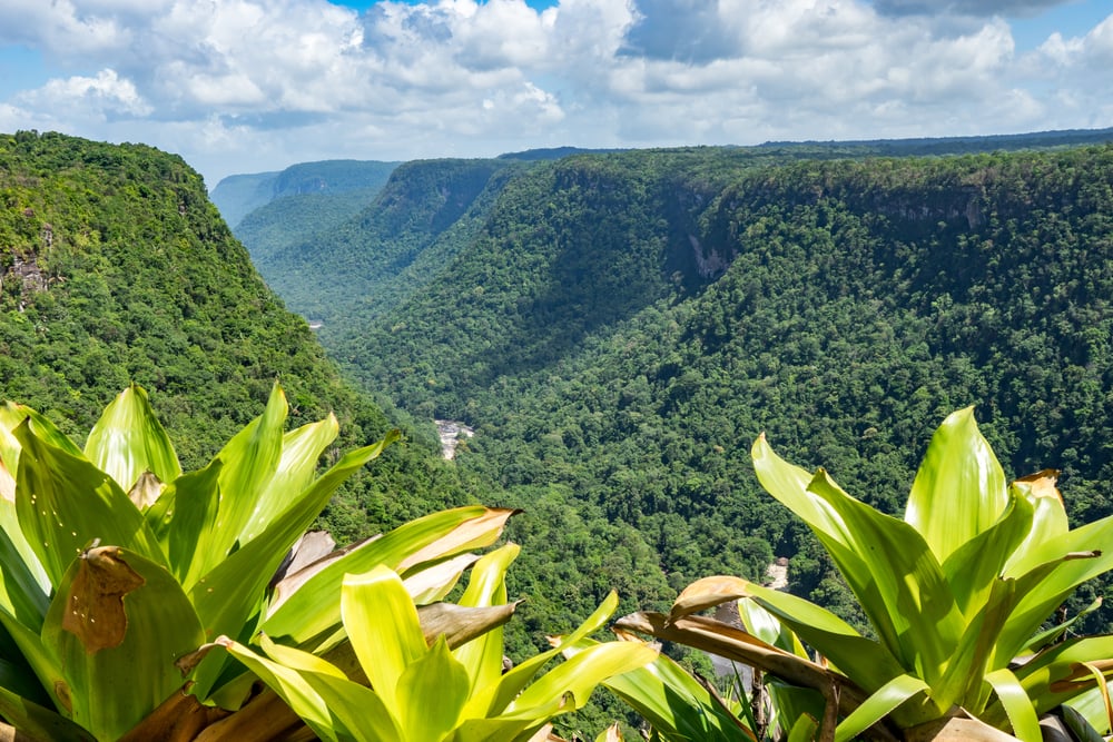 The Ultimate Travel Company | Guyana