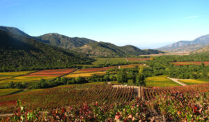Chilean Winelands | Chile | Ultimate Travel Company