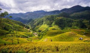 Terraced Rice Field in Mai Chau | Luxury Vietnam Holidays | The Ultimate Travel Company