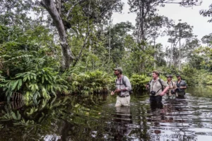 Republic of the Congo | Wildlife | Ultimate Travel Company