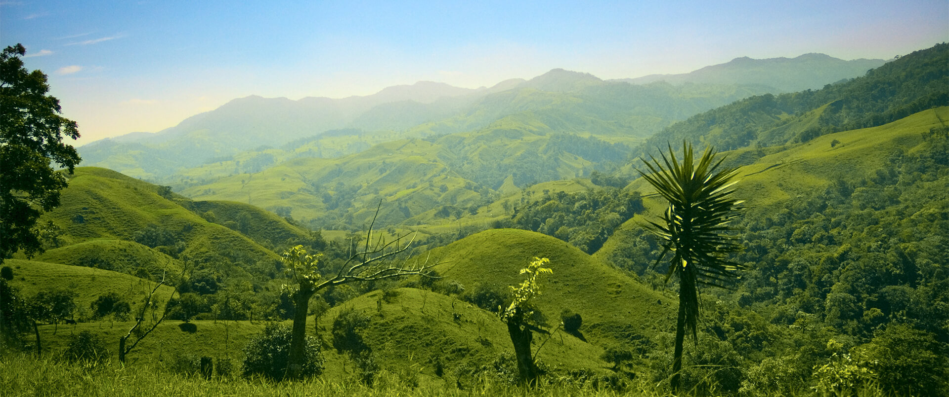 San Jose And Central Valley | Landscape | Ultimate Travel Company