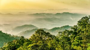 Rainforest | Malaysia | The Ultimate Travel Company