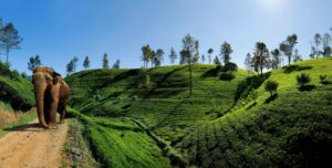 Indian Subcontinent | The Ultimate Travel Company