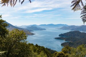 Blenheim and Marlborough, New Zealand | The Ultimate Travel Company