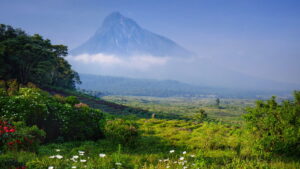 Republic of the Congo Landscape | Luxury Congo Holidays | The Ultimate Travel Company