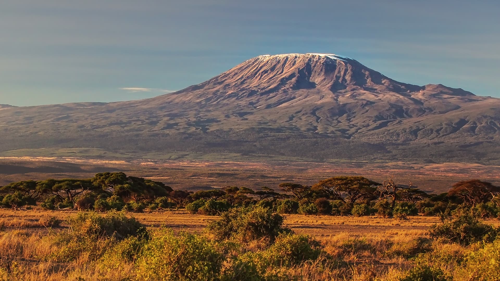 Amboseli National Park | Wildlife And Scenic Beauty | The Ultimate Travel Company