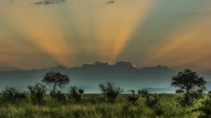 Meru National Park | Meru Luxury Safari Adventure | The Ultimate Travel Company