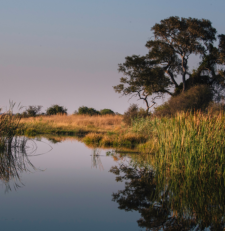 Namibia | Caprivi | Ultimate Travel Company