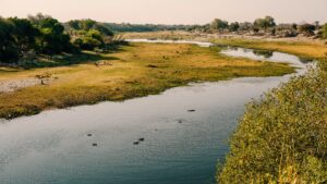 Aerial View of the Makgadikgadi Pans | Luxury Botswana Safaris | The Ultimate Travel Company