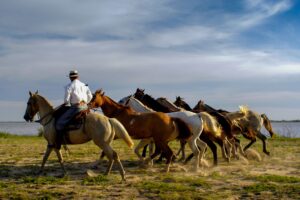 Uruguay | The Ultimate Travel Company
