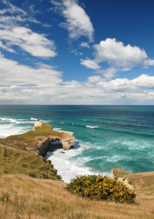 Dunedin And Otago, New Zealand | The Ultimate Travel Company