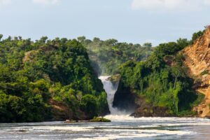 Uganda | Murchison Falls | The Ultimate Travel Company