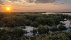 LINYANTI | A SCENIC PLAYGROUND FOR AN ABUNDANCE OF WILDLIFE | Ultimate Travel Company