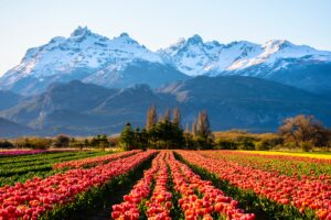 Patagonia | Argentina | Ultimate Travel Company