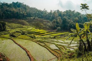 Mai Chau, Vietnam | The Ultimate Travel Company