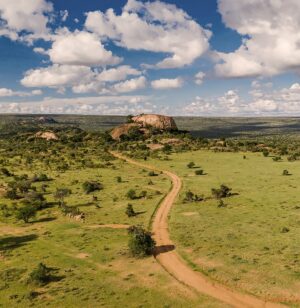 Laikipia |laikipia A Haven For Endangered Wildlife | The Ultimate Travel Company