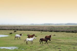 Uruguay | The Ultimate Travel Company