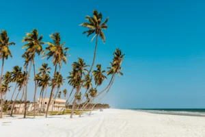 Oman | White Sand Beach | Ultimate Travel Company