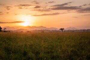 Kidepo National Park | Luxury Uganda Holidays | The Ultimate Travel Company
