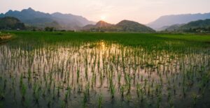 Mai Chau, Vietnam | The Ultimate Travel Company