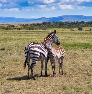 Great Rift Valley | Majesty of the Great Rift Valley | The Ultimate Travel Company