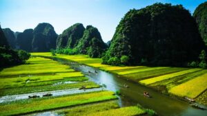 Boating Through Fields in Vietnamese Islands | Vietnam Holidays | The Ultimate Travel Company