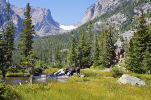 Alberta and Rocky Mountains | Alberta Wildlife | Ultimate Travel Company