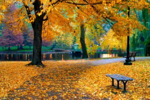 Autumn Leaves in Boston | Luxury USA Holidays | The Ultimate Travel Company
