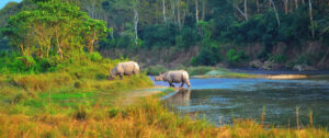 Nepal | National Parks | Ultimate Travel Company