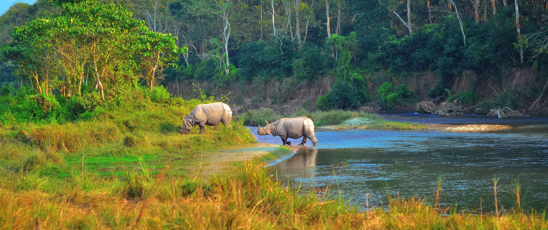 Nepal | National Parks | Ultimate Travel Company