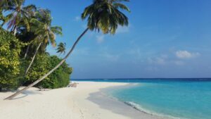 Tropical Beach | Luxury Maldives Holidays | The Ultimate Travel Company
