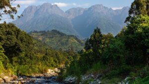 Republic of the Congo | Gorilla | Ultimate Travel Company