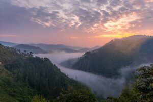Bwindi Impenetrable Forest National Park | Luxury Uganda Holidays | The Ultimate Travel Company