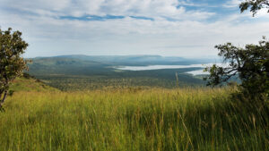 AKAGERA NATIONAL PARK | The Big Five in Rwanda's Untamed Wilderness | The Ultimate Travel Company