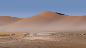 Namibia | Etosha National Park | Ultimate Travel Company
