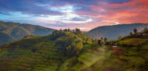 Bwindi Impenetrable Forest | Luxury Uganda Holidays | The Ultimate Travel Company