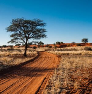 Kalahari Desert Under a Clear Blue Sky | Botswana | The Ultimate Travel Company